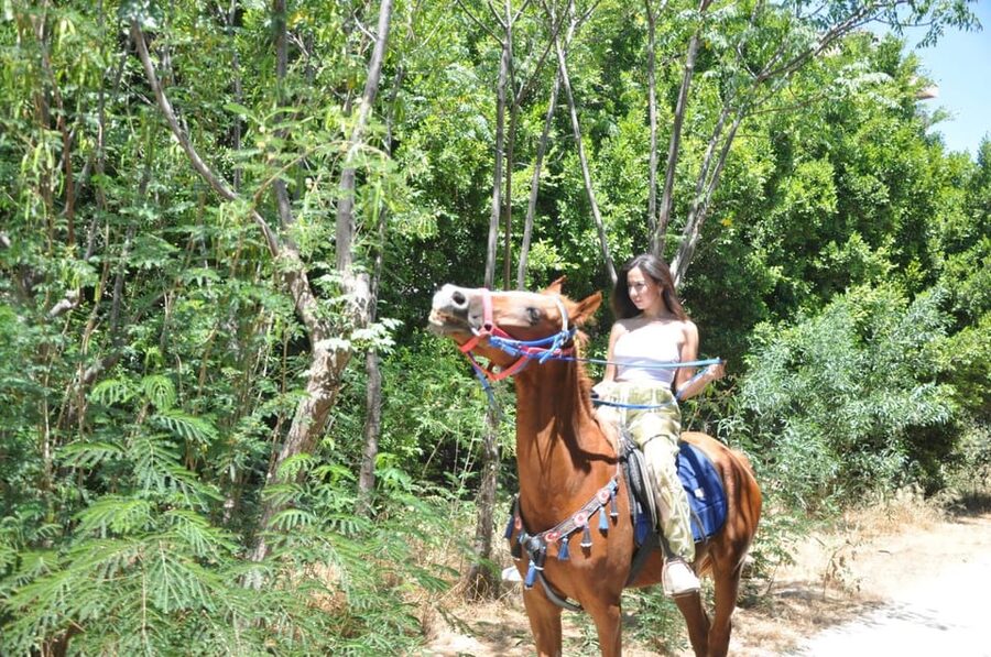 Antalya: Lara Beach & Forrest Horse Riding Safari - Who will enjoy this Antalya horse safari?