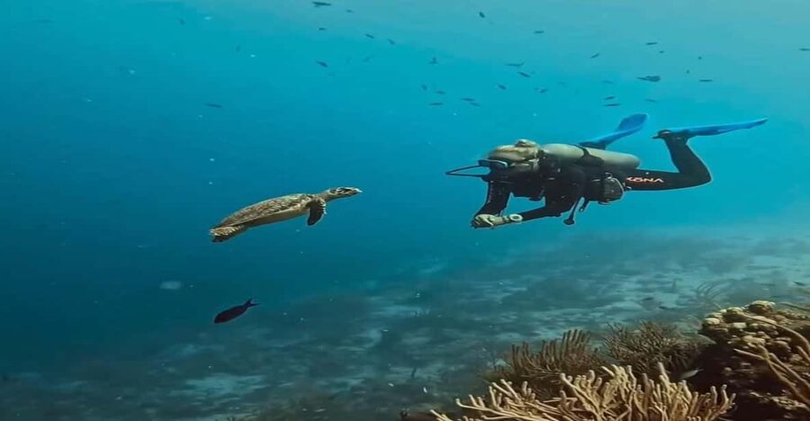 Antalya, Side and Alanya: Scuba Diving with Lunch & 2 Dives - Key points to know before booking