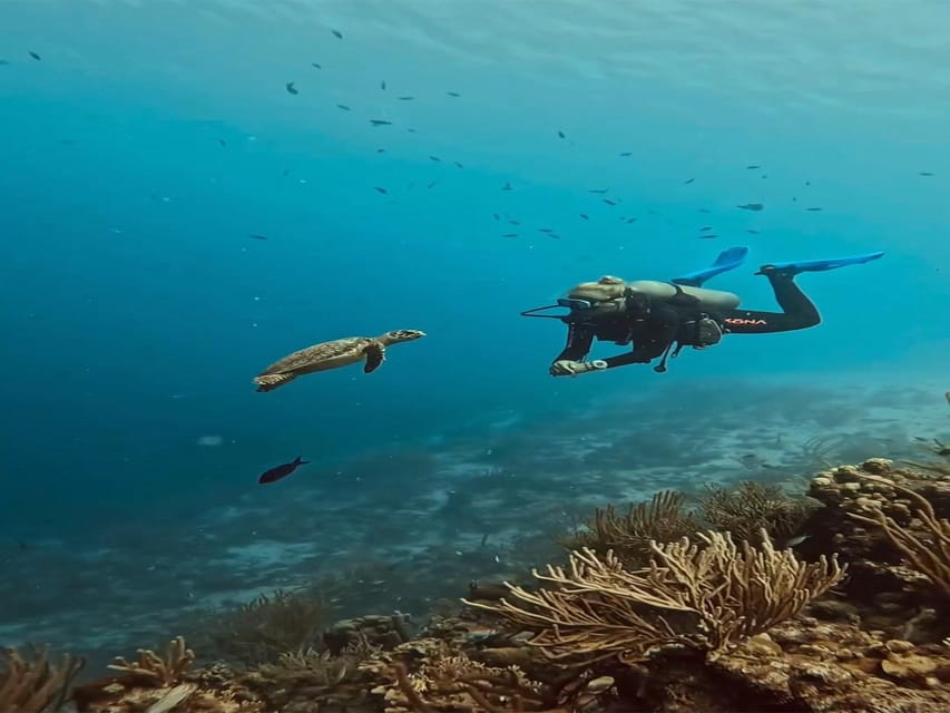 Antalya, Side and Alanya: Scuba Diving with Lunch & 2 Dives - From your hotel to Liman