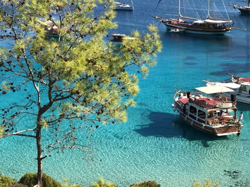 Bodrum: Boat Tour for Mein Schiff Cruise Passengers - Why the cruise timing matters