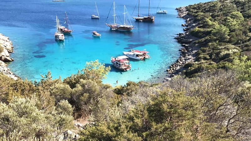 Bodrum: Boat Tour for Mein Schiff Cruise Passengers - Lunch, melon, and Turkish tea onboard