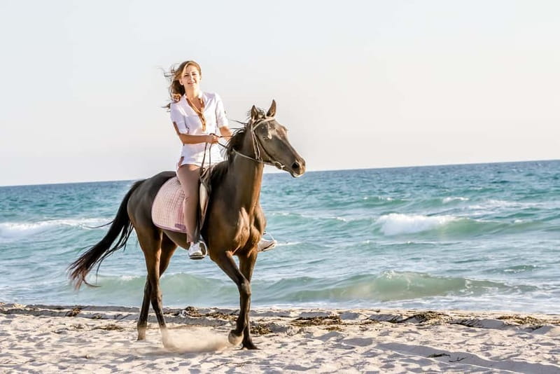 Bodrum: Horseback Riding Experience - Key points to know before you book