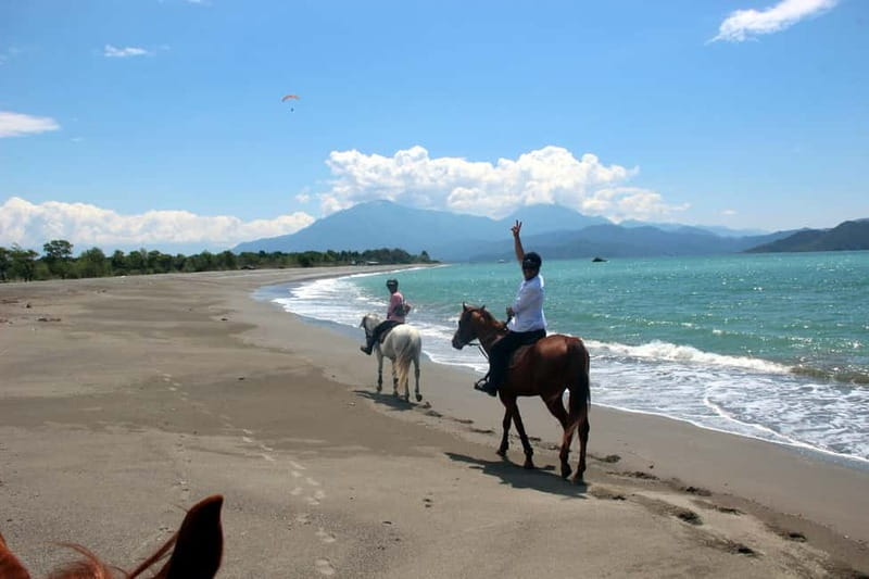 Bodrum: Horseback Riding Experience - A horse ride with more than a simple trail loop