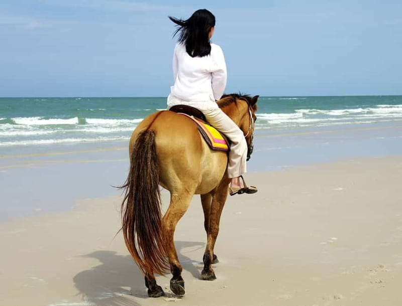 Bodrum: Horseback Riding Experience - Who will enjoy this experience most