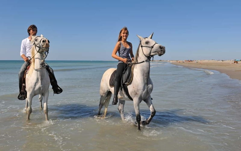 Bodrum: Horseback Riding Experience - Leaving Bodrum for the pine forest horse club