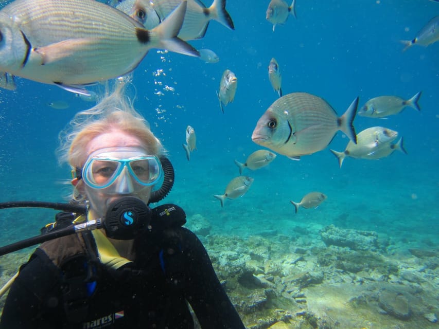 Bodrum: Scuba Diving Trip with Lunch - Setting out from Halikarnas Harbour