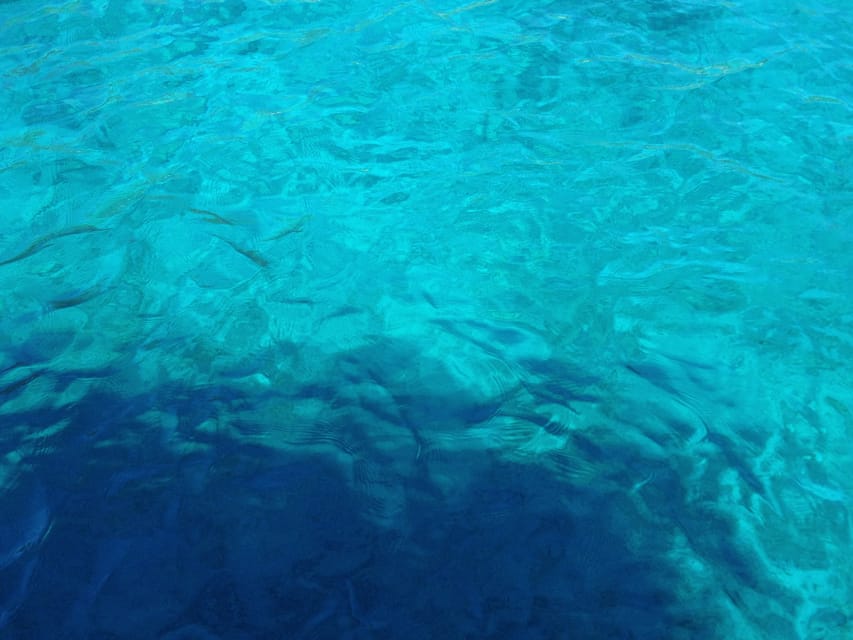 Bodrum: Scuba Diving Trip with Lunch - About 25 minutes among Black Island’s fish