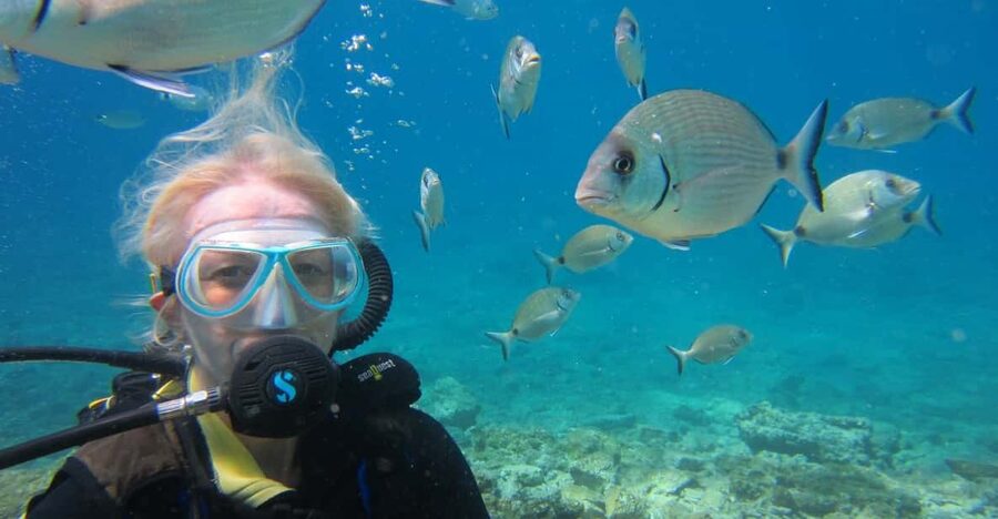 Bodrum: Scuba Diving Trip with Lunch - Who will enjoy this Black Island outing