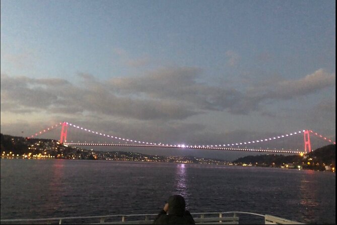 Bosphorus Explorer: 3-Hour Cruise with Asian Side Visit - Why the Bosphorus is the real attraction