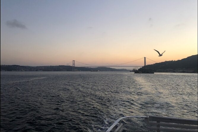 Bosphorus Explorer: 3-Hour Cruise with Asian Side Visit - The Asian shore: Anadolu Fortress and Beylerbeyi