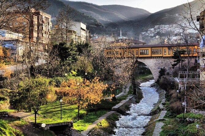 Bursa Full-Day Tour From Istanbul With Cable Car - The 600-year-old plane tree and lunch near Uludag