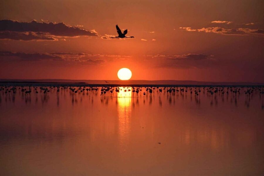Cappadocia Amazing Sunset Tour To Salt Lake - Who will enjoy this outing most?