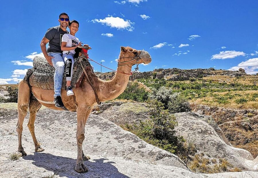 Cappadocia: Camel Safari - Booking flexibility and practical planning