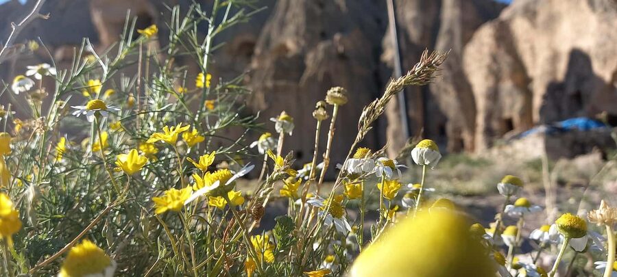 Cappadocia: Derinkuyu, Selime, Nar Crater Lake & Ihlara Tour - How the guide affects the day