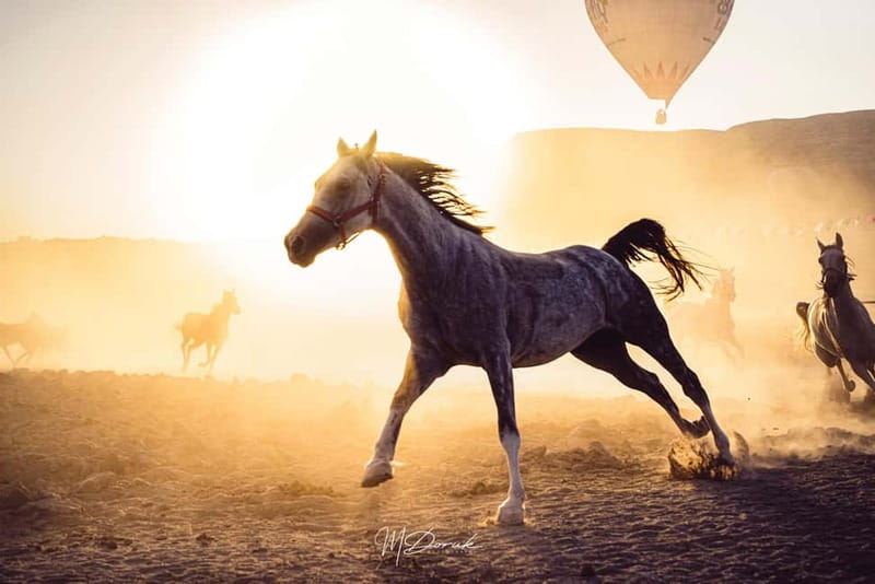 Cappadocia: Fascinating Horse Tour in Göreme Valleys - A Good Fit for First-Time Riders?