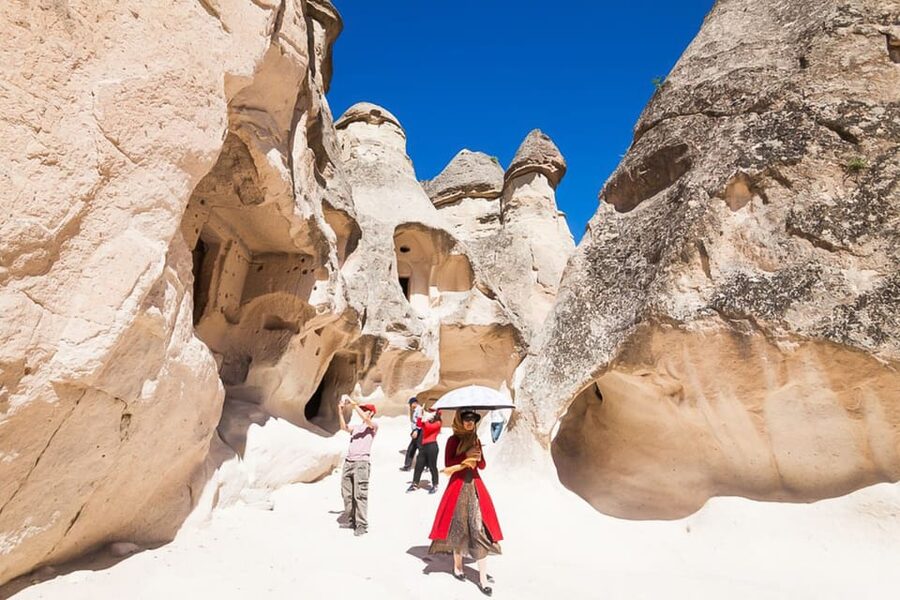 Cappadocia: Full-Day Private Custom Tour - Animal-shaped rocks in Devrent Valley