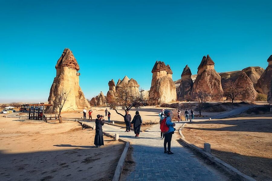 Cappadocia: Full-Day Private Custom Tour - Mushroom-shaped chimneys at Pasabag