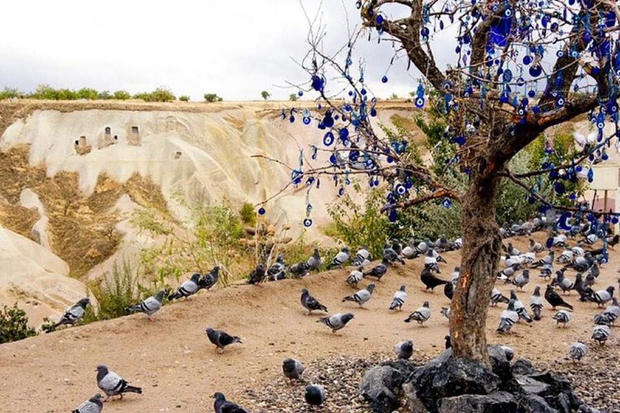 Cappadocia : Green Tour Entry Tickets And Lunch Included - Morning pickup from Göreme, Uçhisar, and nearby towns
