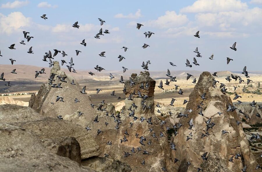 Cappadocia Green Tour (Includes lunch and museum tickets) - The onyx workshop adds a local craft stop