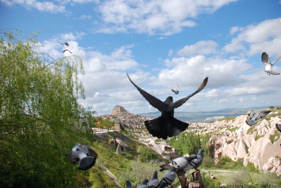 Cappadocia: Highlights Tour with Lunch and Entry Tickets - What the $51 price really covers