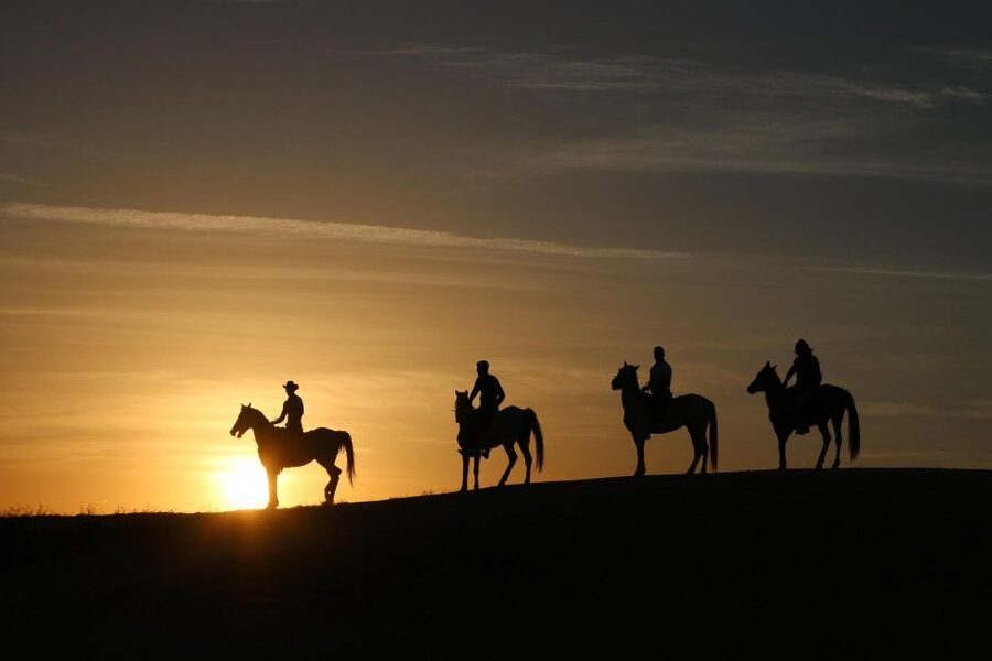 Cappadocia: Horse Riding Tour Sunset or Day Time with Pickup - Practical tips for a smoother ride