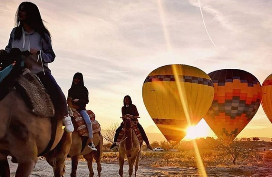 Cappadocia: Horse Safari with Hotel Transfer - Riding past vineyards and fairy chimneys