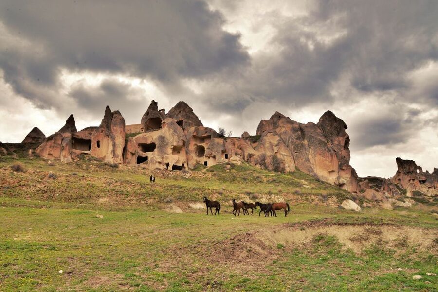 Cappadocia: Private Cappadocia Tour with Lunch - Devrent Valley’s Rocks Invite You to Use Your Imagination