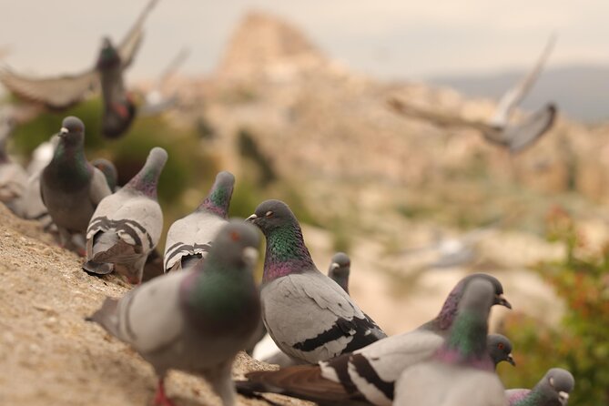 Cappadocia Private Guided Tour(Car&Licensed Guide) - Göreme Panorama: an easy opening view