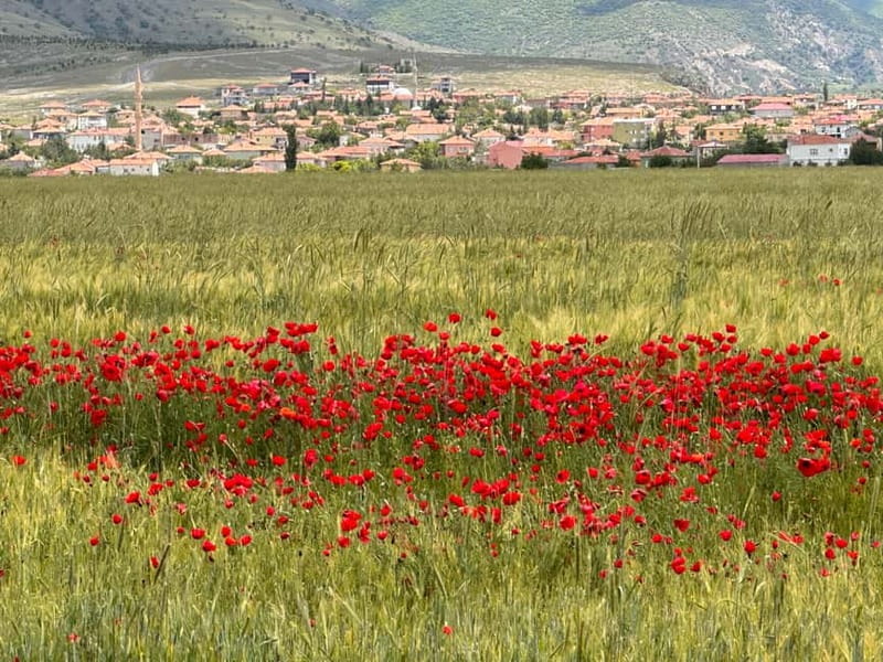 Cappadocia: Shared/Private Tour with Lunch - ATAY PANAROMA adds coffee, tea and local products