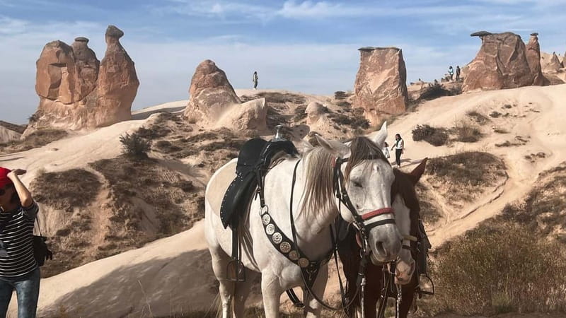 Cappadocia: Small-Group North Tour - Guides, transport, and the pace of the day