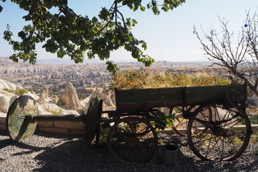 Cappadocia: Small-Group Red Tour, Open Air Museum with Lunch - Devrent Valley, where the rocks invite imagination