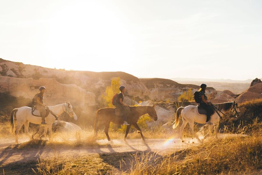 Cappadocia: Sunset or Daytime Horse Riding Tour - Who Should Book This Cappadocia Horse Ride?