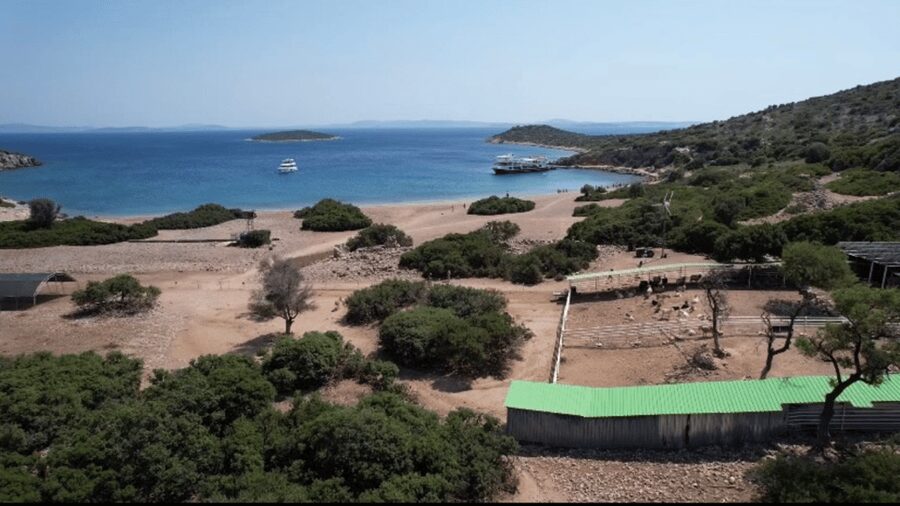 Cesme: Islands and Bays Boat Trip with BBQ Lunch - Is $71 a fair price?