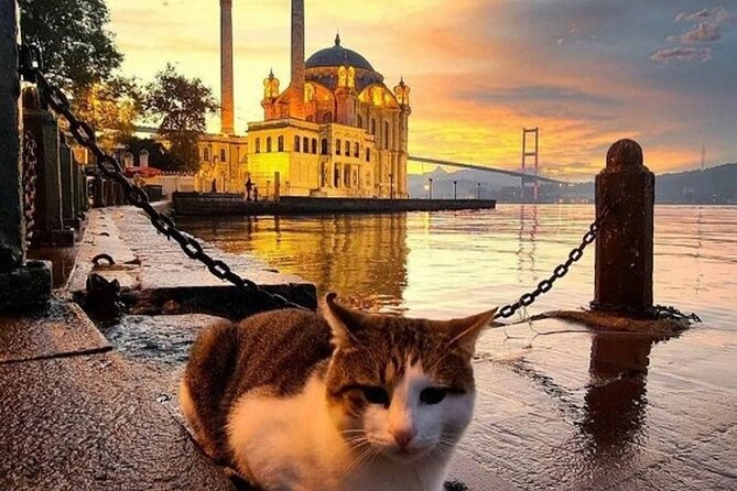 Circle Istanbul (Extraordinary Istanbul) - Dinner on Istiklal Street closes the circle