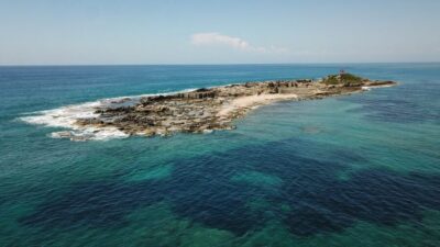 Dolphin Island Boat Tour with BBQ & Foam Party