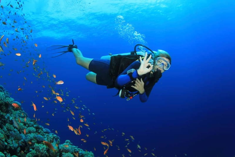 City of Side: Scuba Diving Underwater Museum with Pickup - Who should book this Side boat trip?
