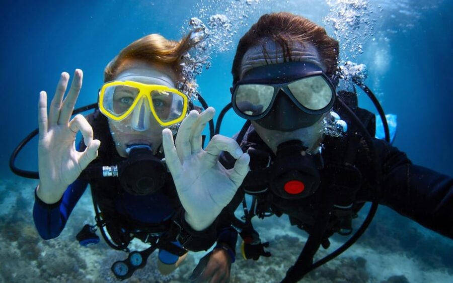 Diving Tour from Alanya & Side with Lunch - 2 Dives Included - What the seven-hour day really includes