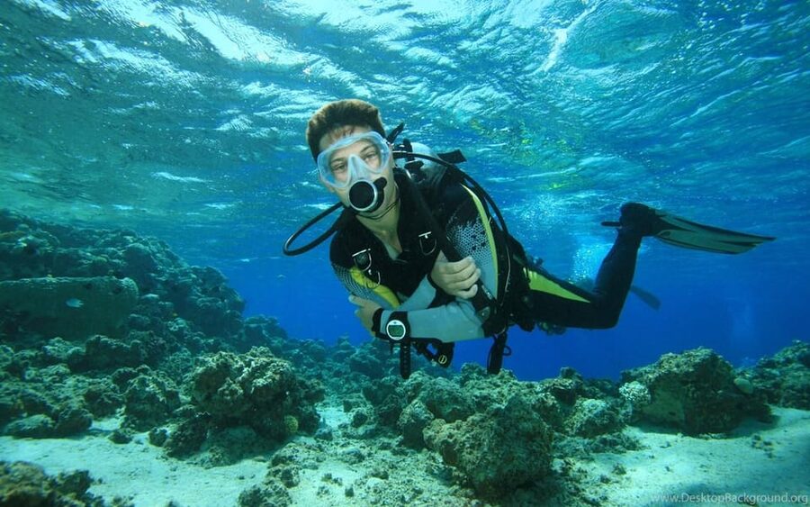 Diving Tour from Alanya & Side with Lunch - 2 Dives Included - The 12-meter session adds depth, not a guarantee of better scenery