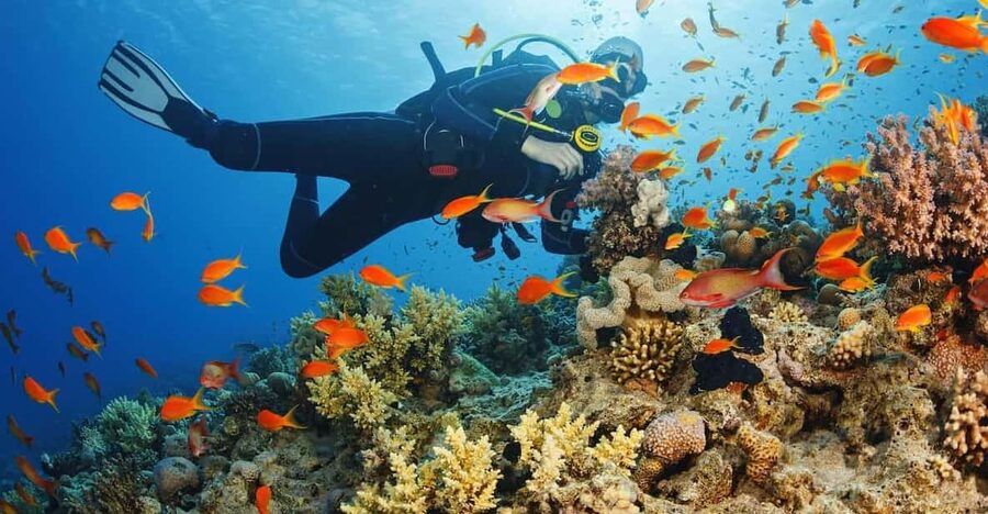 Diving Tour from Alanya & Side with Lunch - 2 Dives Included - The crew is most useful when you need reassurance