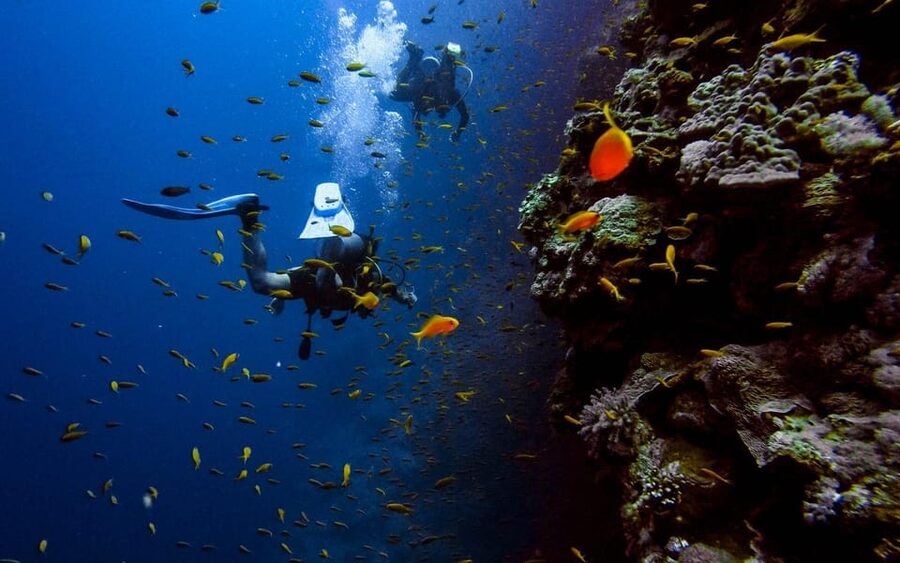 Diving Tour from Alanya & Side with Lunch - 2 Dives Included - Boat comfort, transfers, and the small practical annoyances