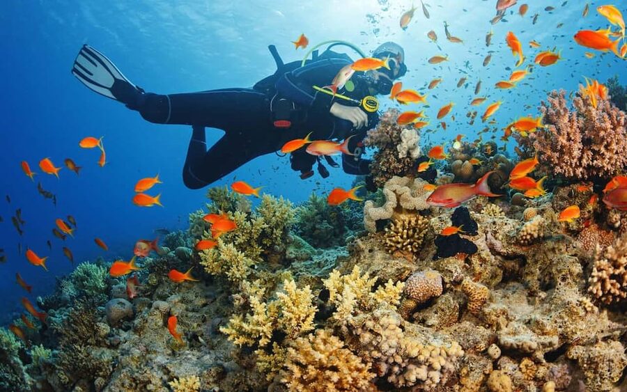 Diving Tour from Alanya & Side with Lunch - 2 Dives Included - The first 6-meter session is the easiest introduction