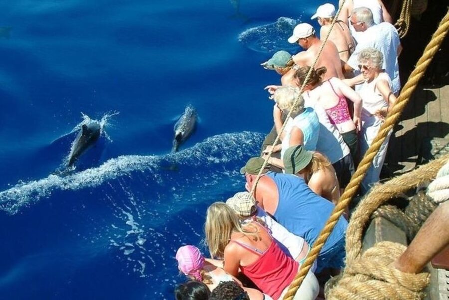Explore Alanya's Beauty Catamaran Boat Tour - Lunch on board and Cleopatra Beach