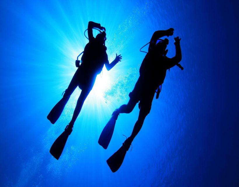 Fethiye: 2 Guided Scuba Dives with Lunch and Hotel Transfers - Key points to know before booking