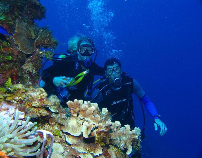 Fethiye: 2 Guided Scuba Dives with Lunch and Hotel Transfers - Lunch, rest, and a second site