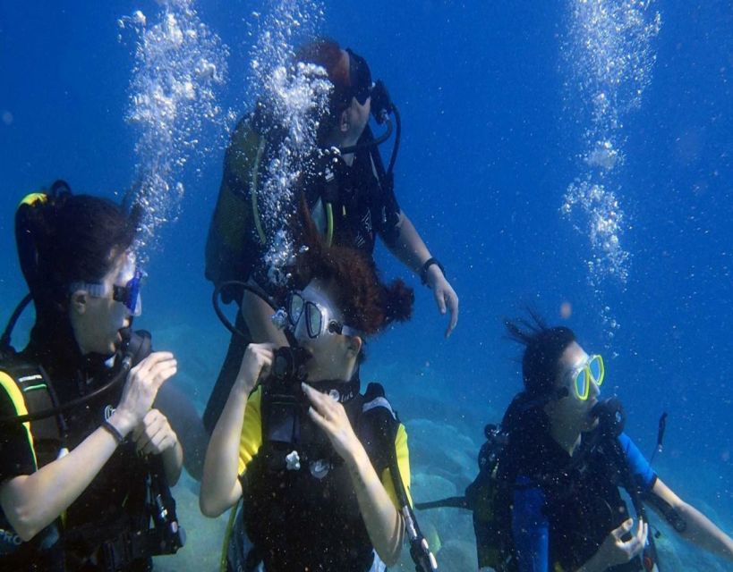 Fethiye: 2 Guided Scuba Dives with Lunch and Hotel Transfers - Marine life, photos, and what you may actually see