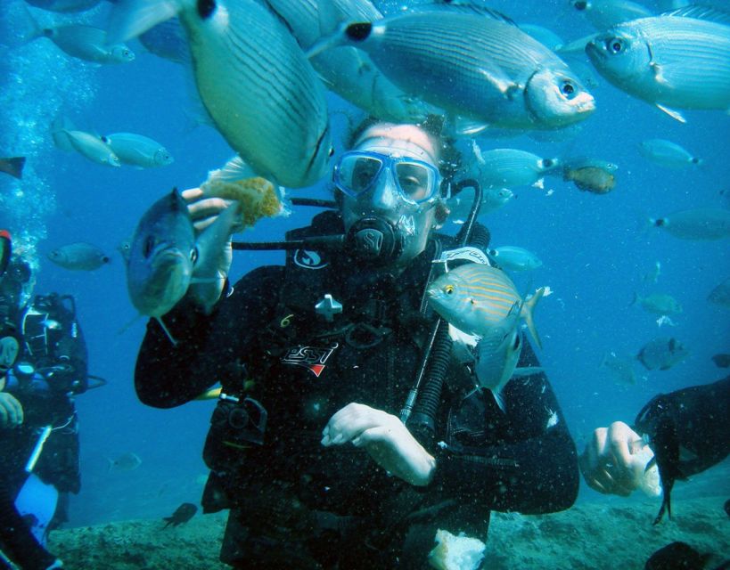 Fethiye: 2 Guided Scuba Dives with Lunch and Hotel Transfers - Is $70 good value?