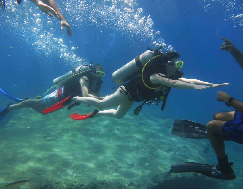 Fethiye: 2 Guided Scuba Dives with Lunch and Hotel Transfers - Who should book this Fethiye outing?