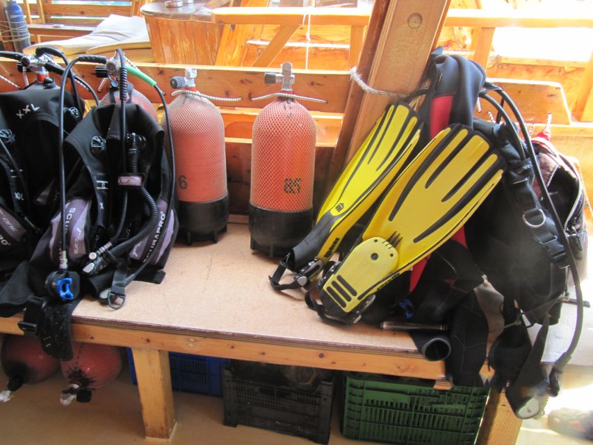 Fethiye: Professional Scuba Diving with Lunch - What you may see beneath Fethiye’s water