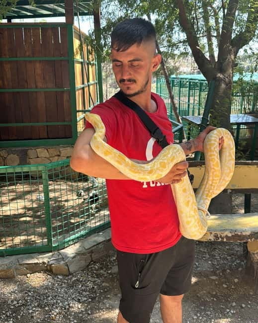 From Alanya: Lion Safari & Green Canyon Splash Feast w/Lunch - A water-fight road trip from Alanya