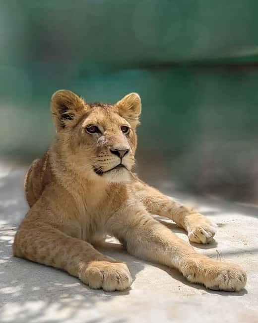 From Alanya: Lion Safari & Green Canyon Splash Feast w/Lunch - Green Canyon views after the first splash battle